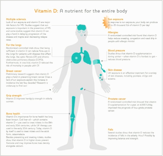 Vitamin D for the Body