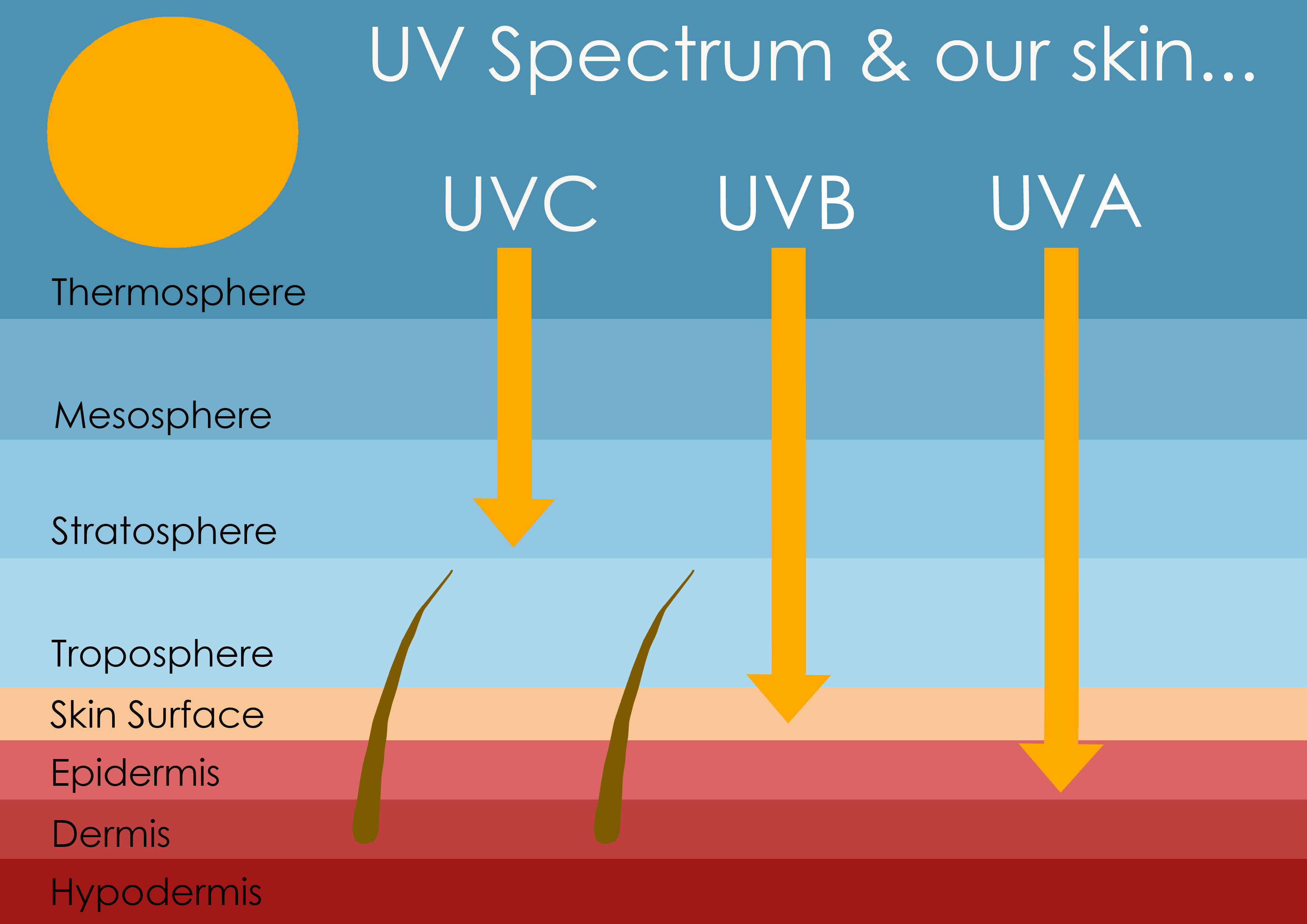 UV spectrum and skin