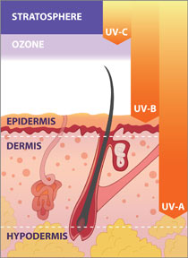 UV rays