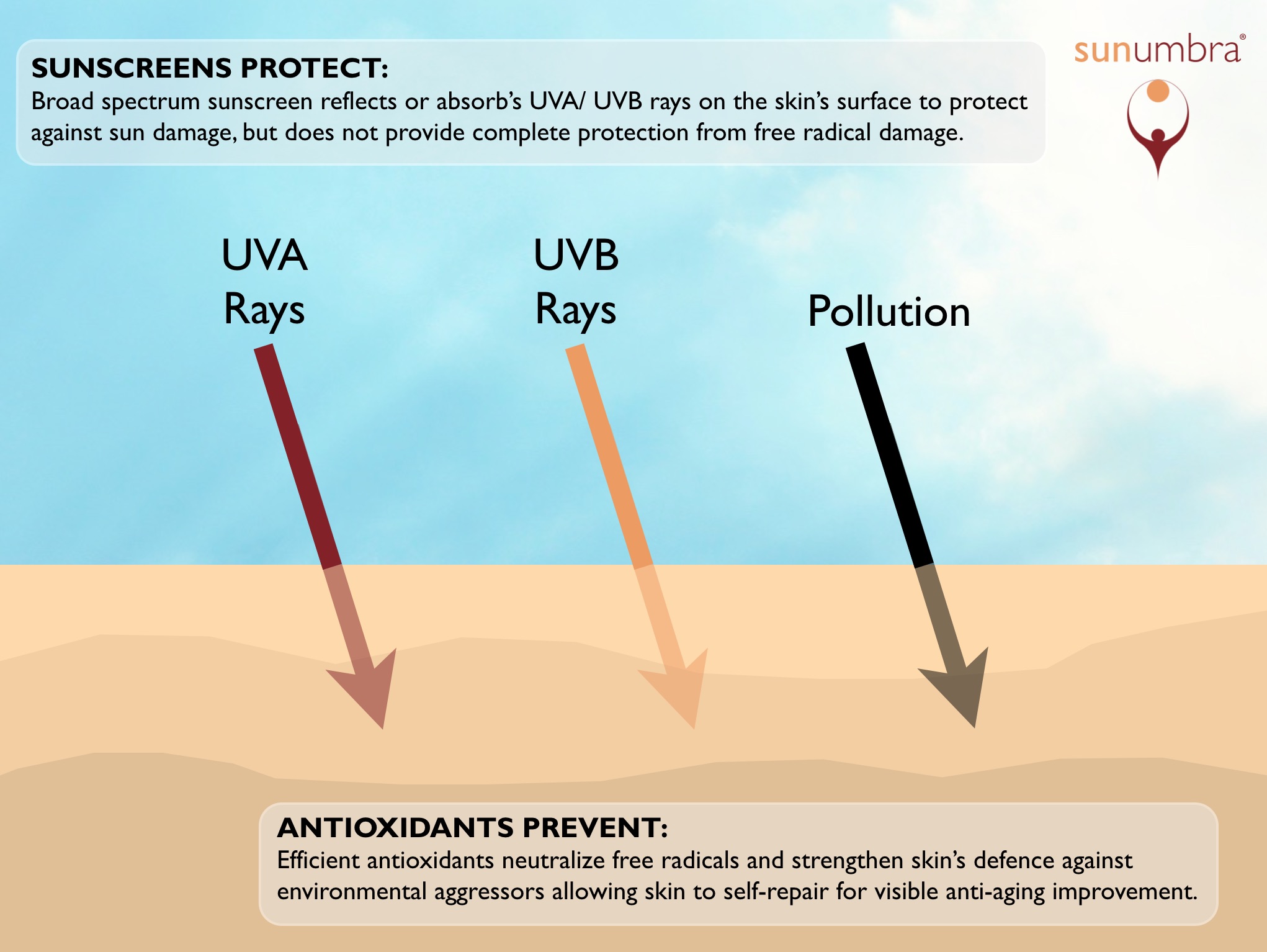 Antioxidants in sunscreens