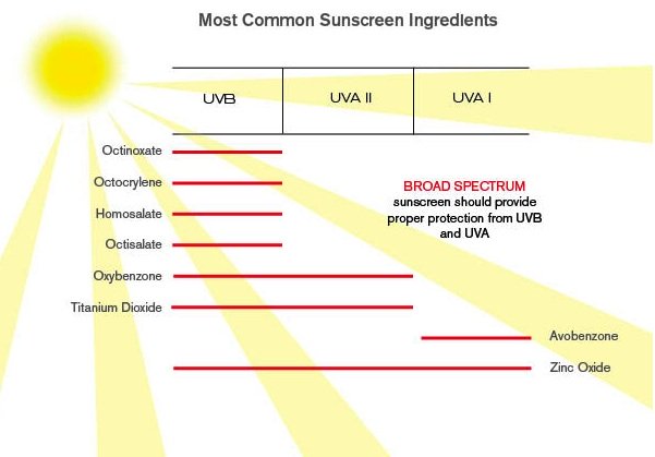 Sunscreen ingredients protection capabilities