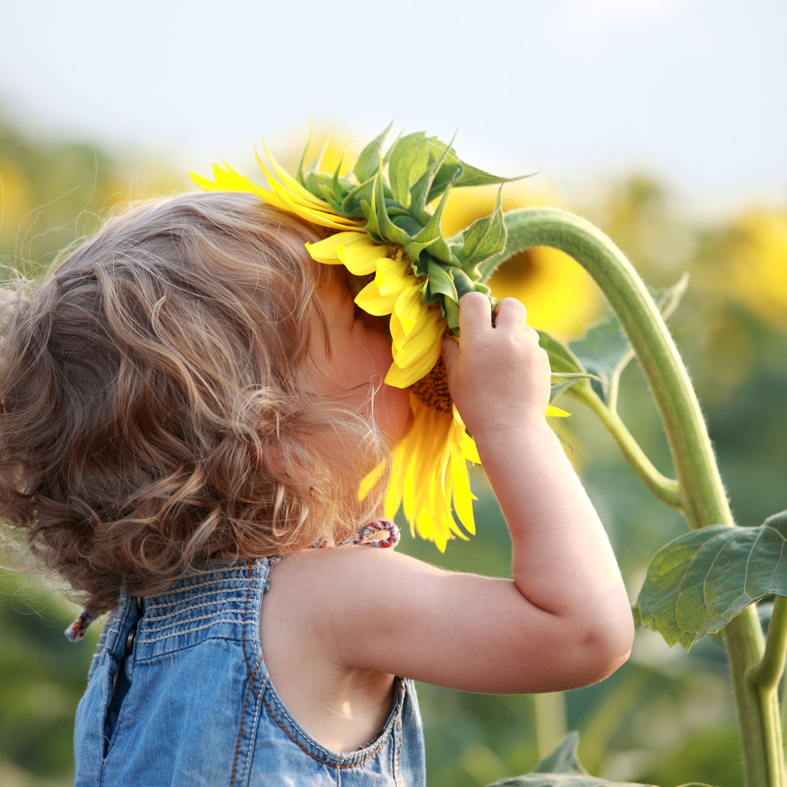 Child embracing flower