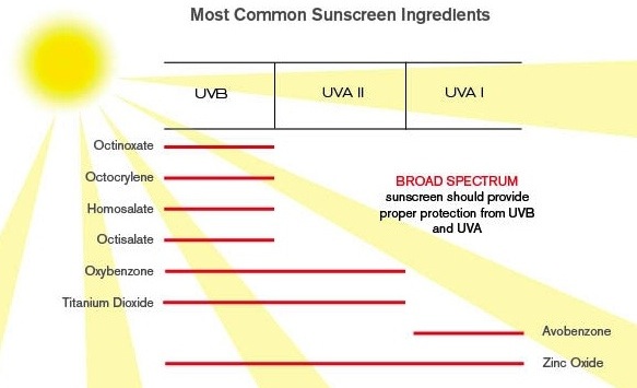 Common sunscreen ingredients