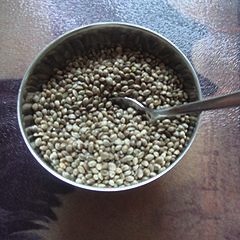 Hemp seeds