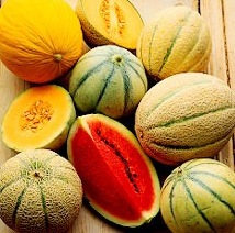 Melons for antioxidant supplementation