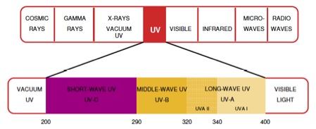 uv rays in the light spectrum