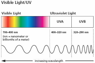 visible light uv diagram